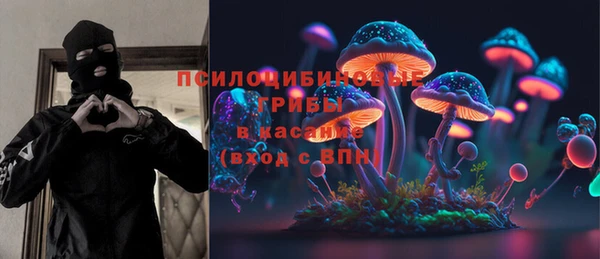 ешки Инта