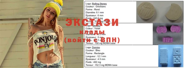 ешки Инта