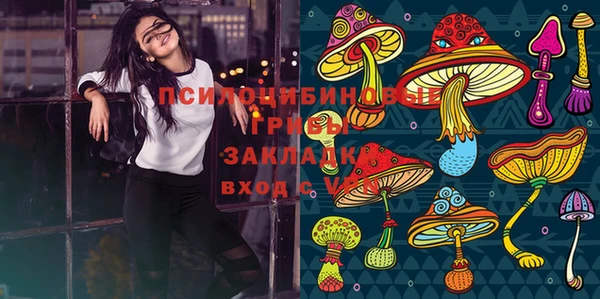 дурь Иннополис