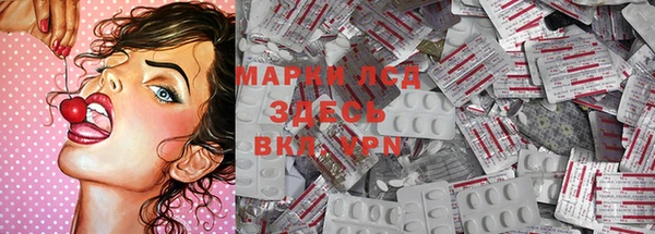 ешки Инта
