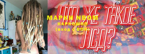ешки Инта