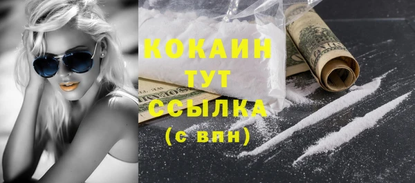 ешки Инта
