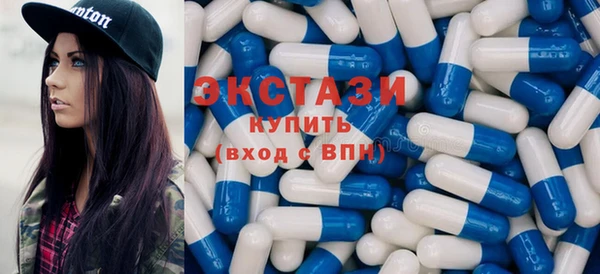 ешки Инта