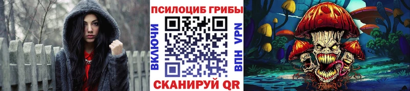 Псилоцибиновые грибы Cubensis  Купить где  Зубцов 
